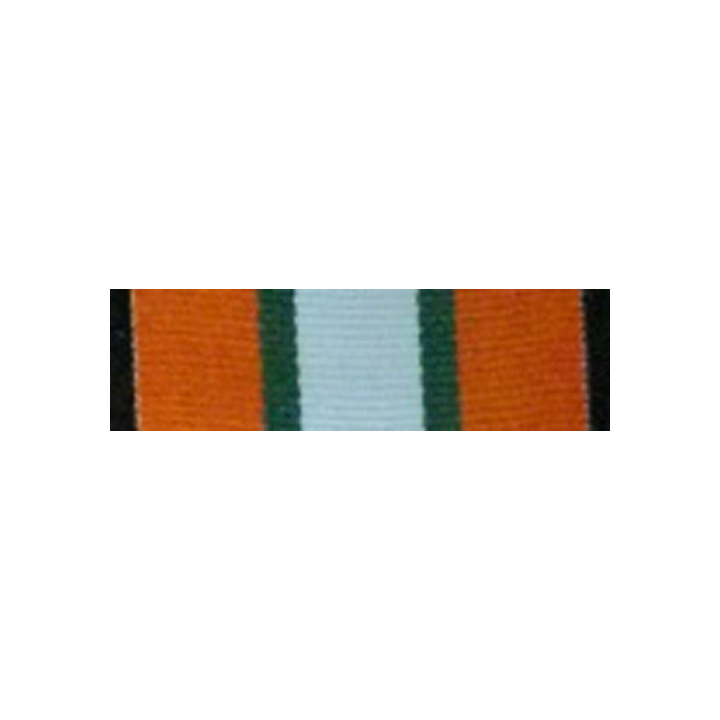 INTERNATIONAL : MULTINATIONAL AND OBSERVERS MEDAL