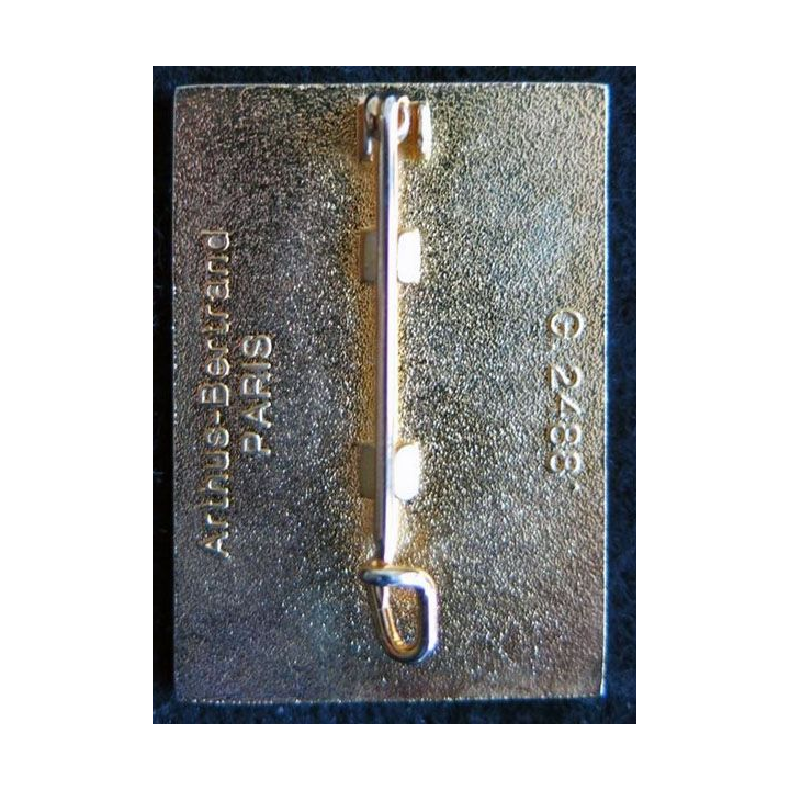 DLEM : insigne métallique du détachement de la légion étrangère à Mayotte de fabrication Arthus Bertrand G. 2488