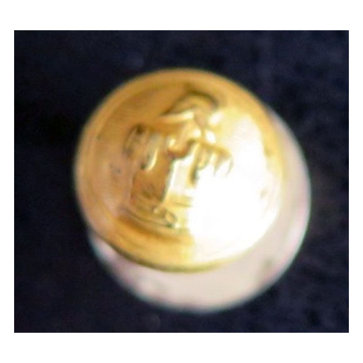 bouton de plastron du génie de cérémonie sur vis