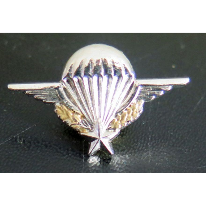 PARACHUTISTE : pin's représentant le brevet parachutiste militaire