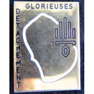 DLEG : insigne métallique du détachement de la légion étrangère aux Glorieuses de fabrication Balme N° 681