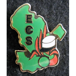 1° REC : Pin's  escadron de commandement et des services du 1° régiment étranger de cavalerie