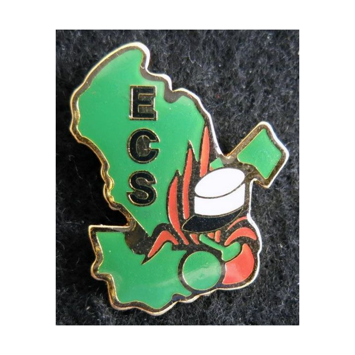 1° REC : Pin's  escadron de commandement et des services du 1° régiment étranger de cavalerie