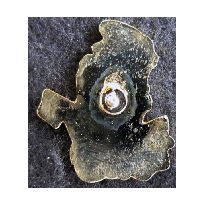 1° REC : Pin's  escadron de commandement et des services du 1° régiment étranger de cavalerie