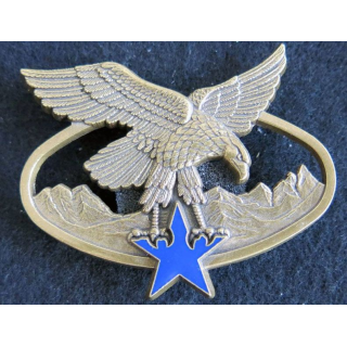 BSTM : insigne métallique du brevet de spécialité des troupes de montagne de fabrication Delsart G. 2465 bronze