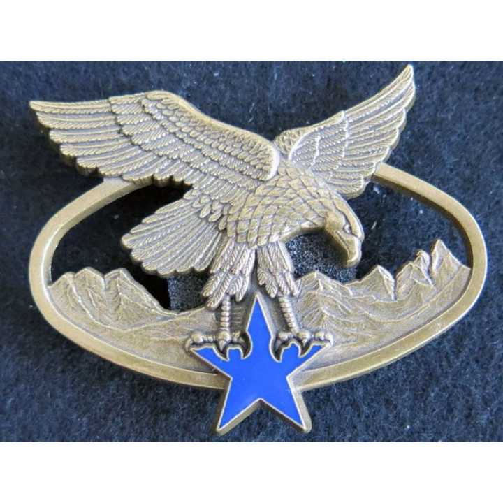 BSTM : insigne métallique du brevet de spécialité des troupes de montagne de fabrication Delsart G. 2465 bronze