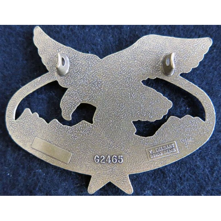 BSTM : insigne métallique du brevet de spécialité des troupes de montagne de fabrication Delsart G. 2465 bronze