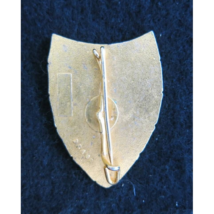 1° RS : 2° escadron du 1° régiment de spahis fabrication Drago en émail