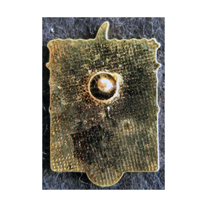 LEGION : Pin's représentant la grenade de la Légion étrangère sur l'arc de triophe de Paris