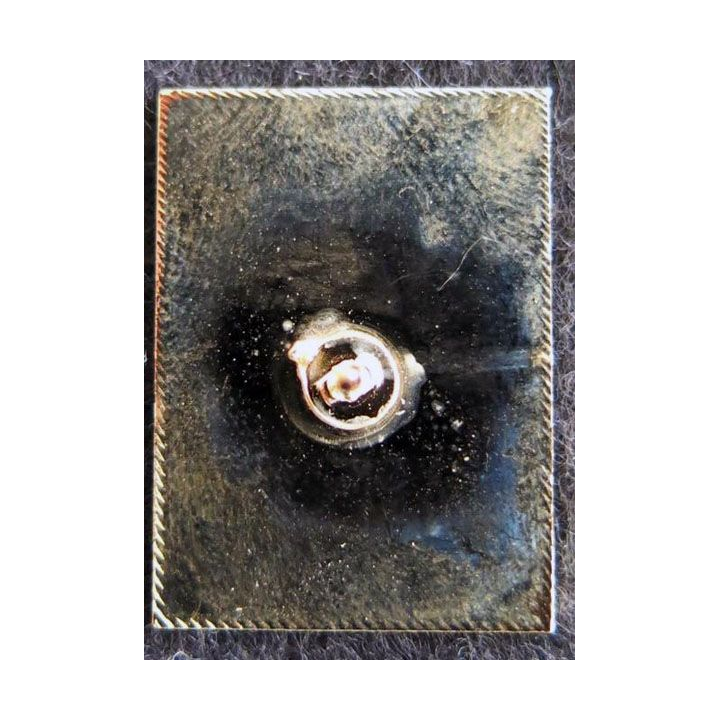 DAGUET : pin's métallique de la division Daguet 20 X 26 mm