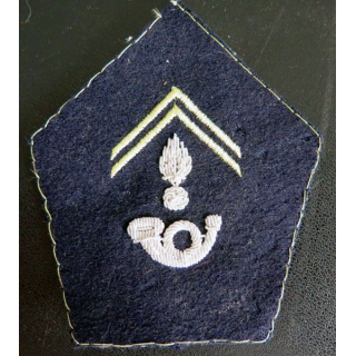 insigne tissu de col des chasseurs alpins cadre en cannetille