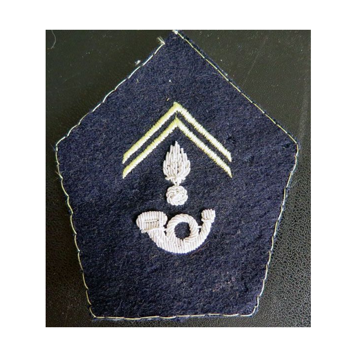 insigne tissu de col des chasseurs alpins cadre en cannetille