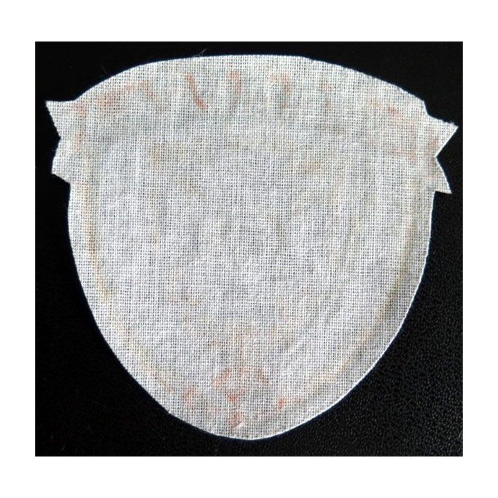 Insigne tissu d'agence de sécurité et de garde russe