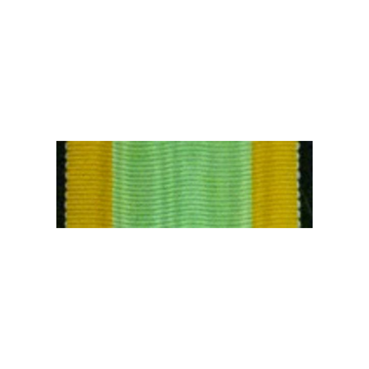 FRANCE : Ruban de la médaille des engagés volontaires 14 cm