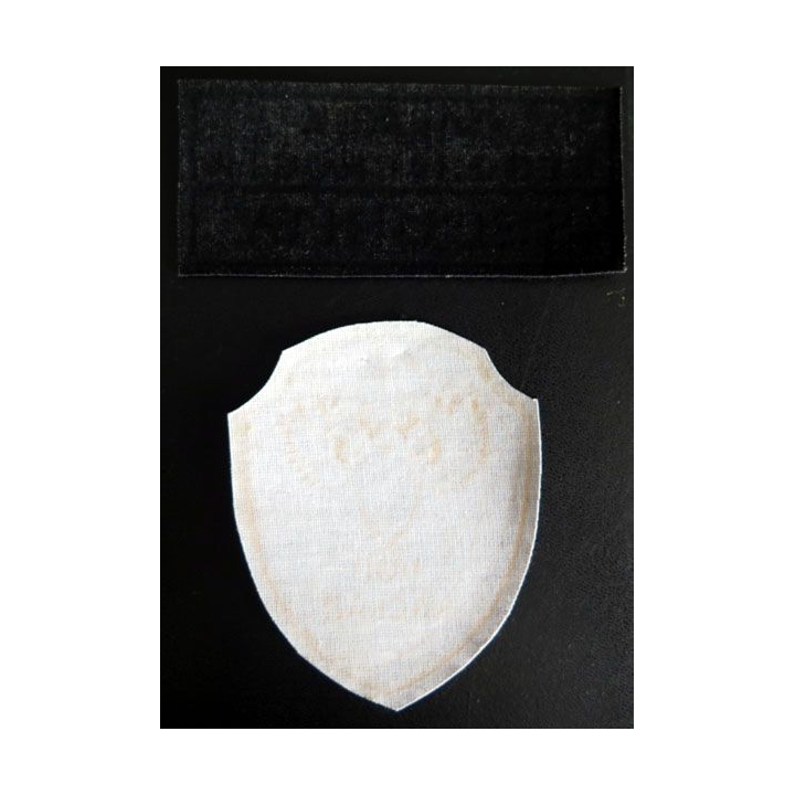 Insigne tissu d'agence de sécurité et de garde russe