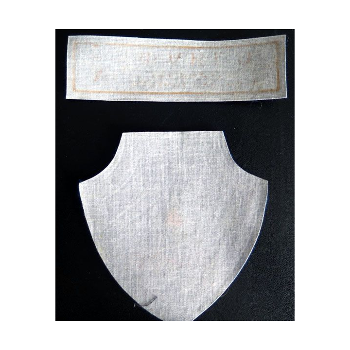 Insigne tissu d'agence de sécurité et de garde russe