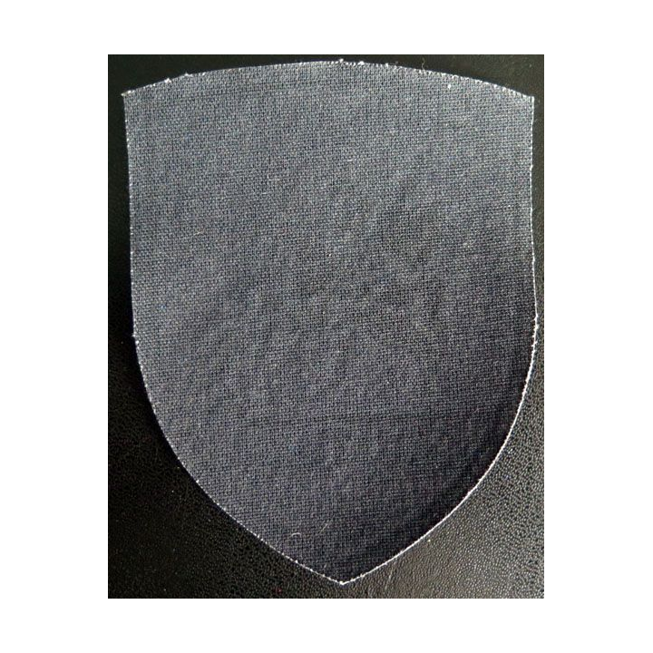 Insigne tissu d'agence de sécurité et de garde russe