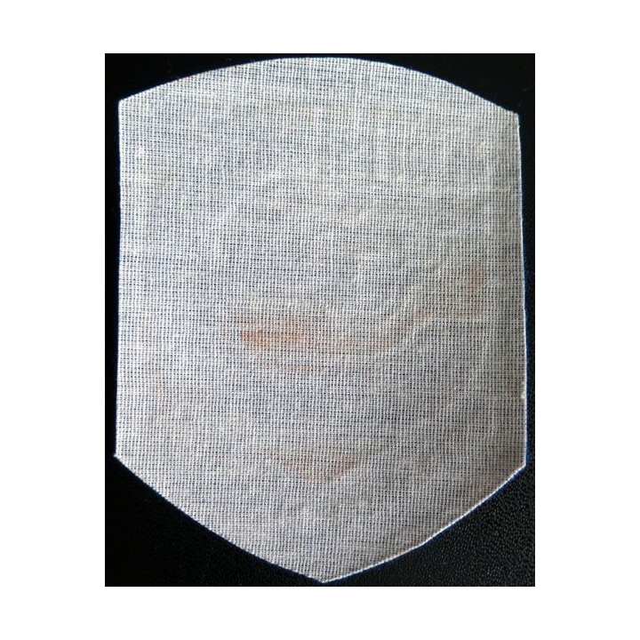 Insigne tissu d'agence de sécurité et de garde russe