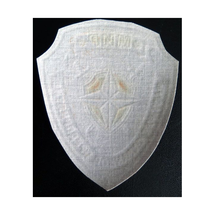 Insigne tissu d'agence de sécurité et de garde russe