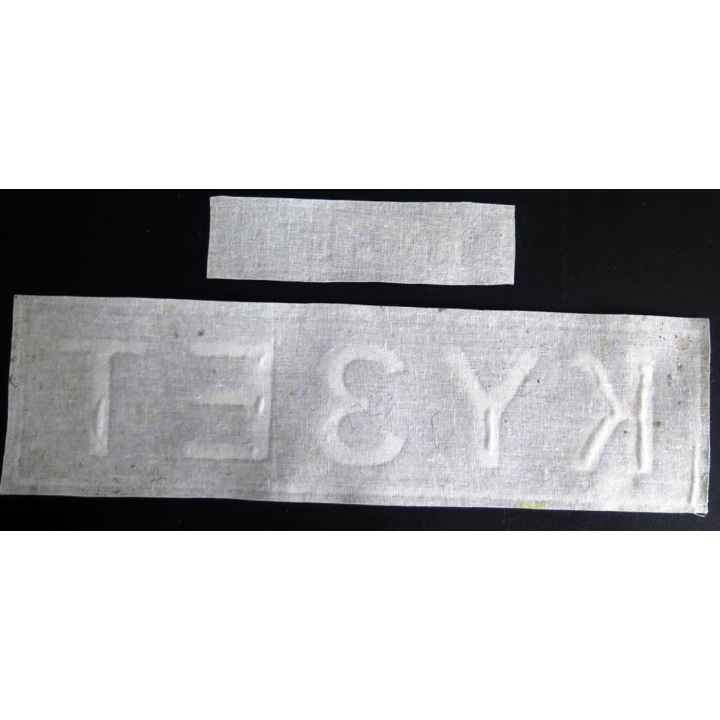 Insigne tissu d'agence de sécurité et de garde russe (2 pièces)