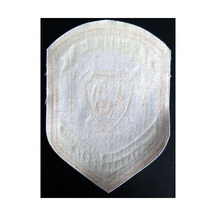 Insigne tissu d'agence de sécurité et de garde russe