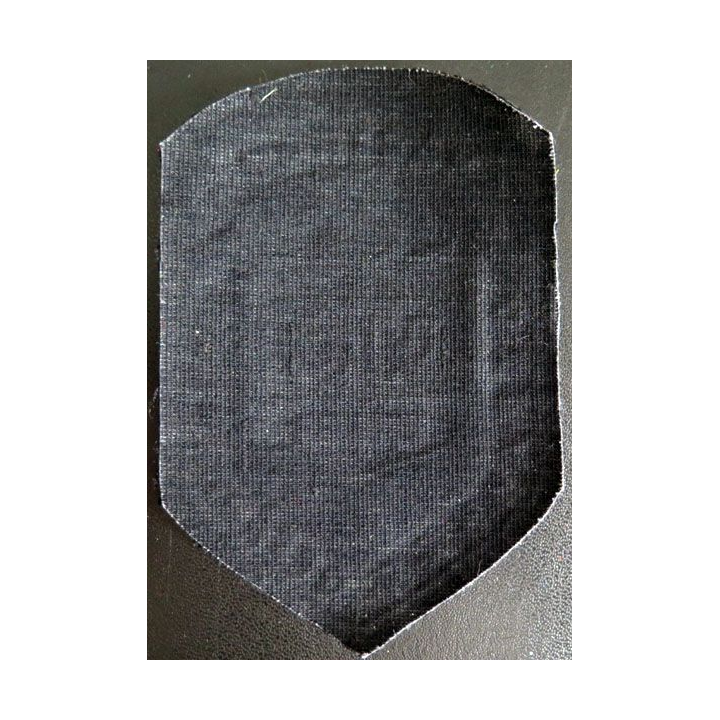 Insigne tissu d'agence de sécurité et de garde russe