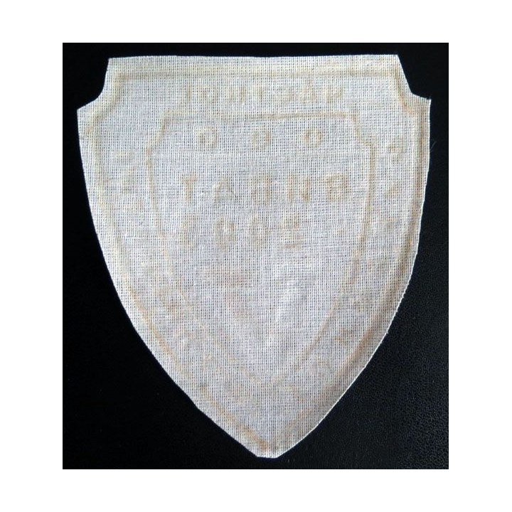 Insigne tissu d'agence de sécurité et de garde russe
