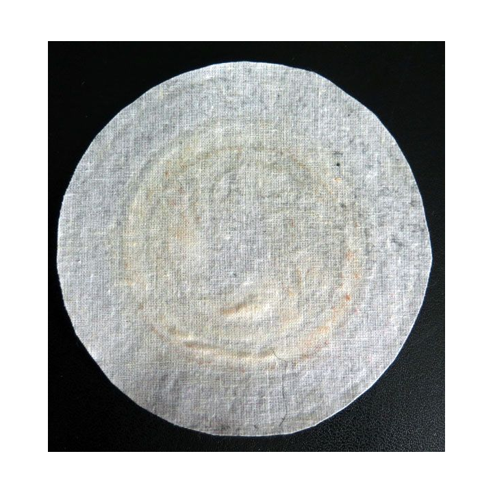 Insigne tissu d'agence de sécurité et de garde russe