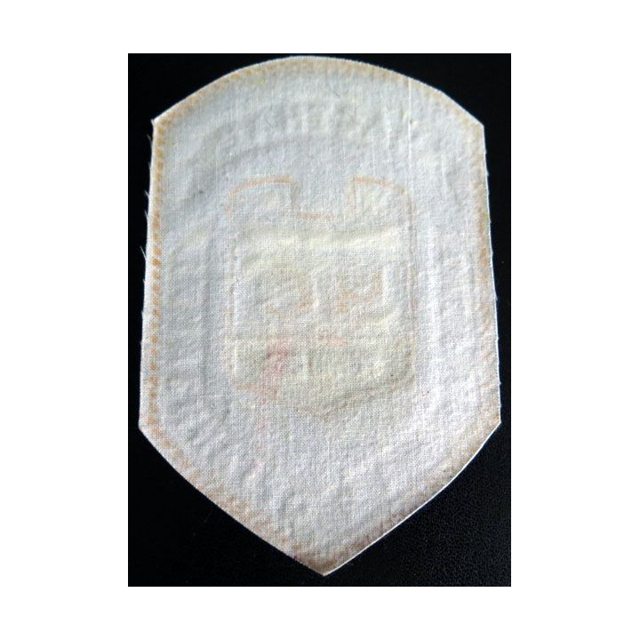 Insigne tissu d'agence de sécurité et de garde russe