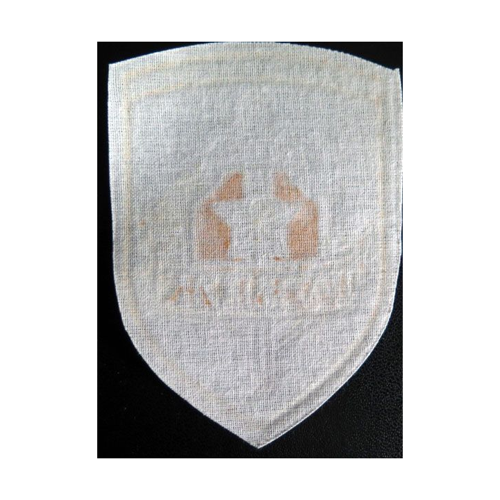 Insigne tissu d'agence de sécurité et de garde russe