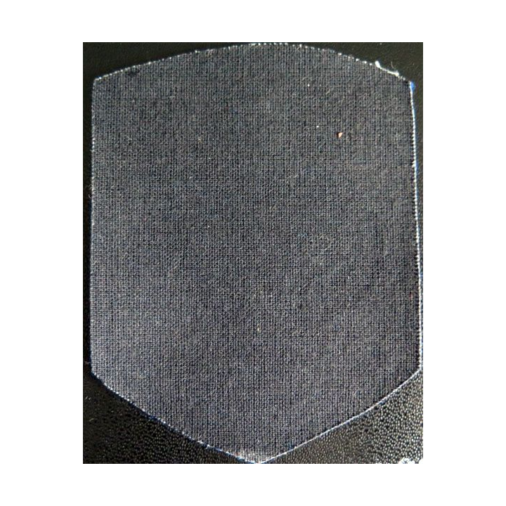 Insigne tissu d'agence de sécurité et de garde russe
