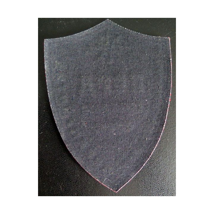 Insigne tissu d'agence de sécurité et de garde russe