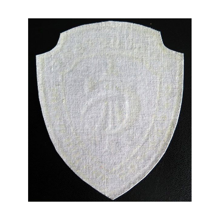 Insigne tissu d'agence de sécurité et de garde russe