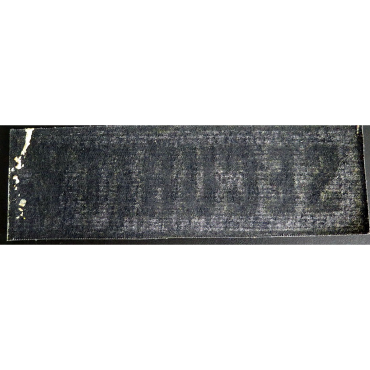 Insigne tissu d'agence de sécurité et de garde russe