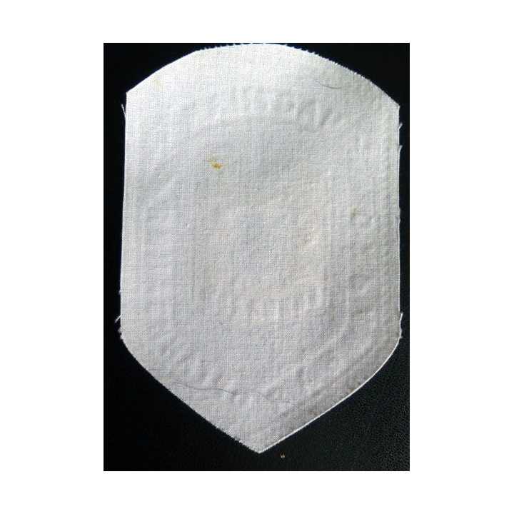 Insigne tissu d'agence de sécurité et de garde russe