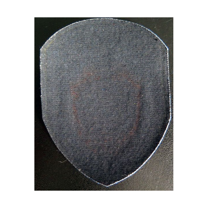 Insigne tissu d'agence de sécurité et de garde russe
