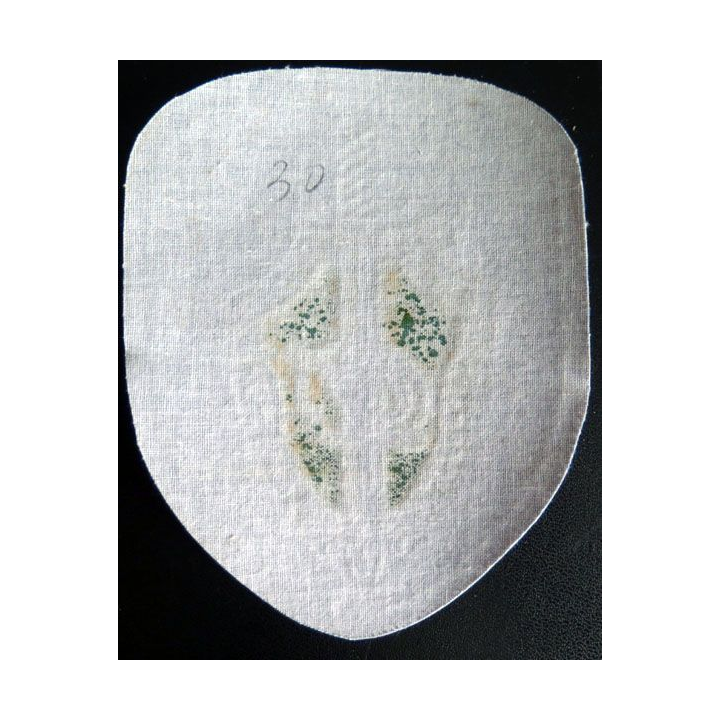 Insigne tissu d'agence de sécurité et de garde russe
