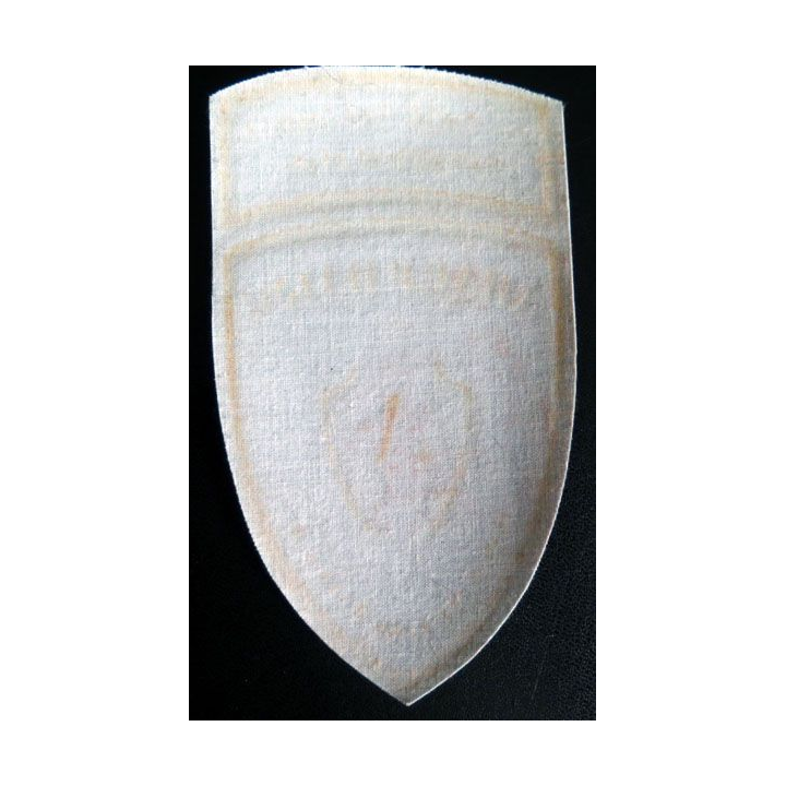 Insigne tissu d'agence de sécurité et de garde russe