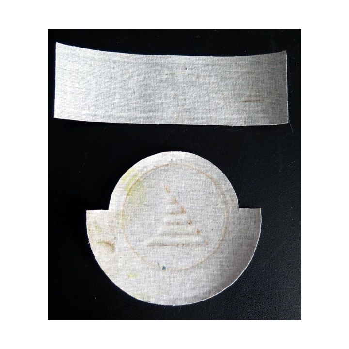 Insigne tissu d'agence de sécurité et de garde russe (2 pièces)