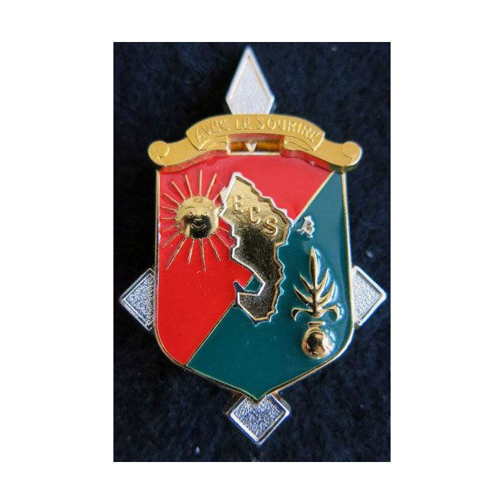 DLEM ECS : insigne métallique de l'ECS du détachement de la légion étrangère à Mayotte  Balme Saumur 1997 - 2007
