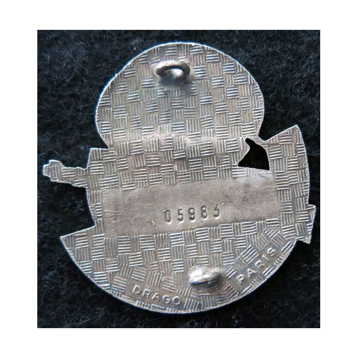 AUTODEFENSE : insigne métallique des groupes d'autodéfense en Algérie N° 05983
