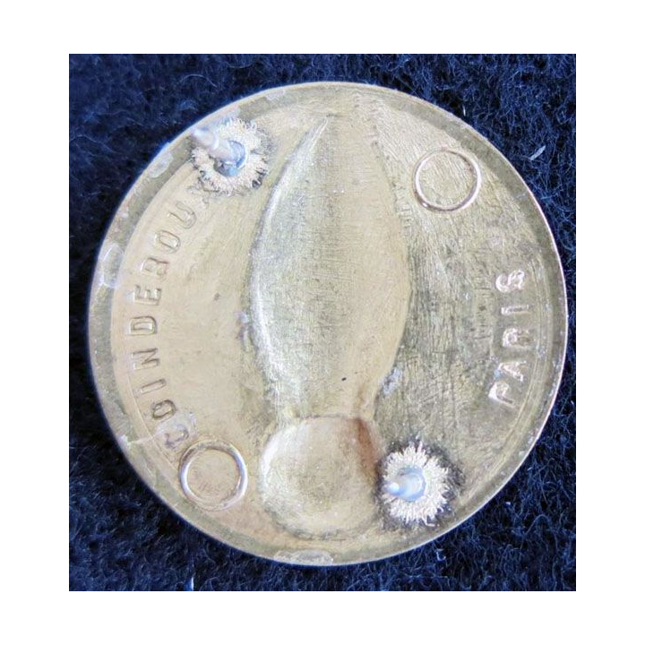 CADRE SPÉCIAL : insigne de col des unités du cadre spécial Coinderoux Paris