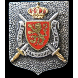 BELGIQUE : insigne état major Commando Territorial Interforces  "Belgae Belgarum defensores" Drago