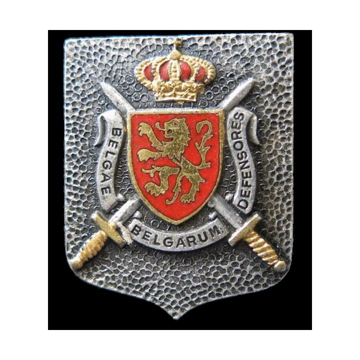 BELGIQUE : insigne état major Commando Territorial Interforces  "Belgae Belgarum defensores" Drago