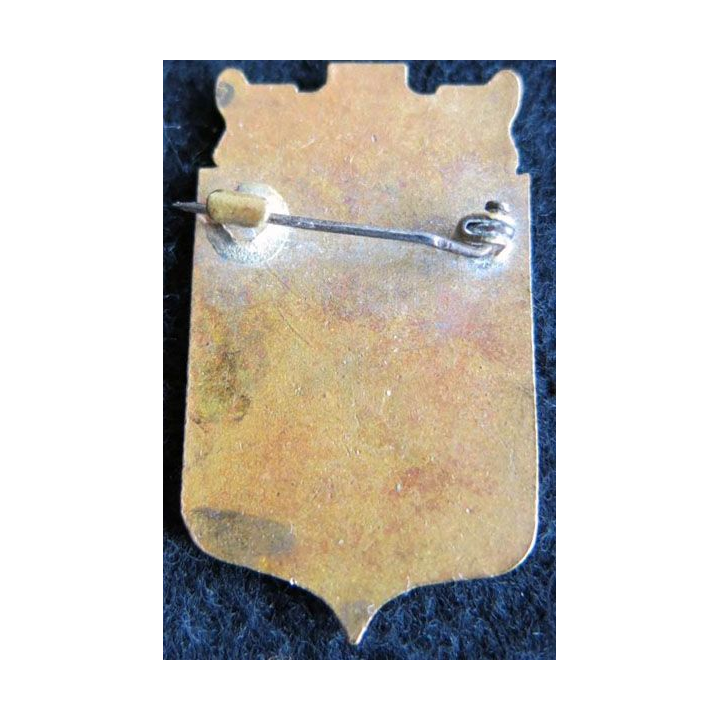 BLASON ALGER : insigne métallique ancien blason en émail de la ville d'Alger 24 x 40 mm