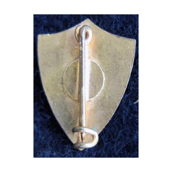 BLASON ALGERIE : insigne métallique blason en émail de l'Algerie 23 x 17 mm