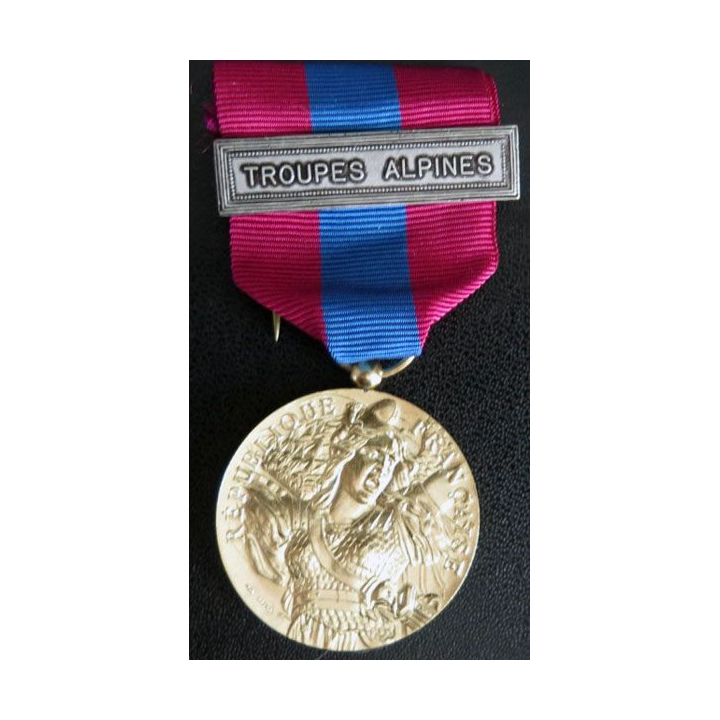 médaille défense nationale barrette "Troupes Alpines"