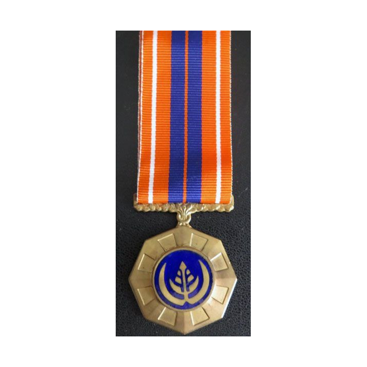 AFRIQUE DU SUD : médaille pour la participation aux actions militaires
