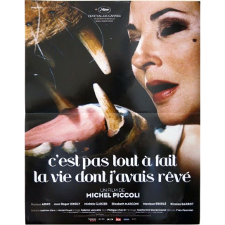 AFFICHE FILM : affiche de cinéma du film "C'est pas tout à fait la vie dont j'avais rêvé" 2006 dimension 40 x 53 cm (E003)