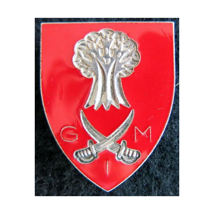 INCONNU : insigne G I M ou G M I (Afrique ?)